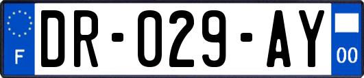 DR-029-AY