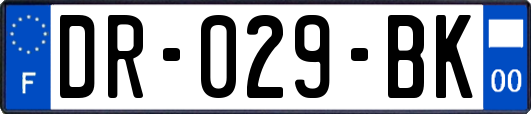 DR-029-BK