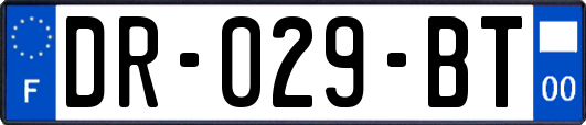 DR-029-BT