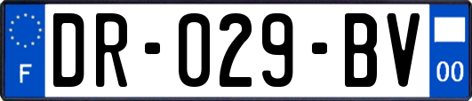 DR-029-BV