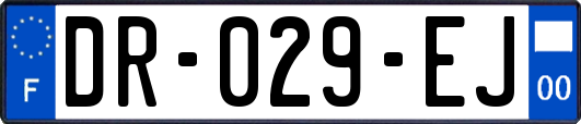 DR-029-EJ