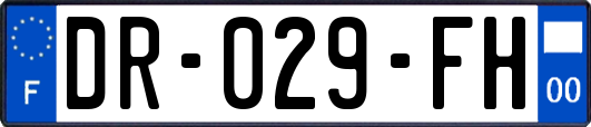 DR-029-FH