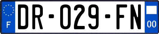 DR-029-FN