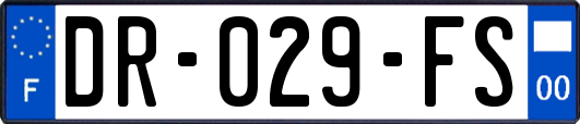 DR-029-FS