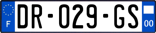 DR-029-GS