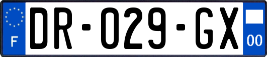 DR-029-GX