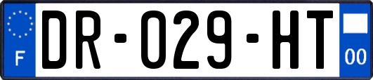 DR-029-HT