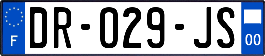 DR-029-JS