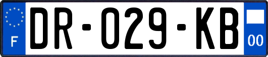 DR-029-KB