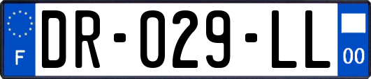 DR-029-LL