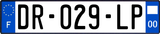 DR-029-LP