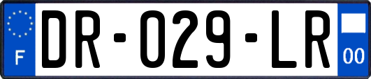 DR-029-LR