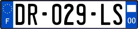 DR-029-LS