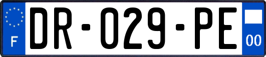 DR-029-PE