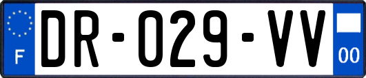 DR-029-VV