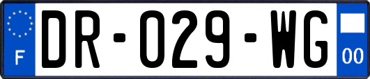 DR-029-WG