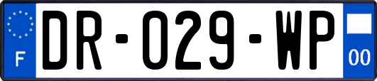 DR-029-WP