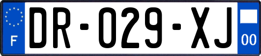 DR-029-XJ