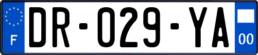 DR-029-YA