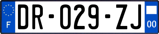 DR-029-ZJ