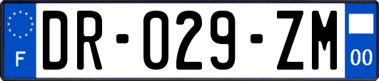 DR-029-ZM