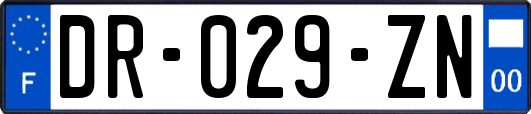 DR-029-ZN