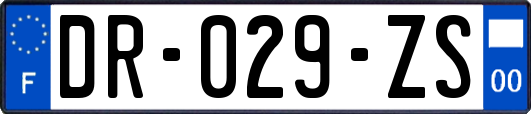 DR-029-ZS