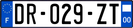 DR-029-ZT