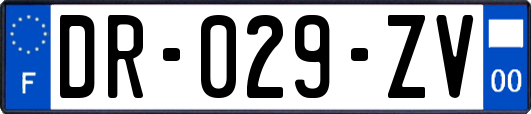 DR-029-ZV