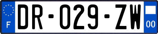 DR-029-ZW