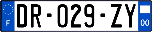 DR-029-ZY