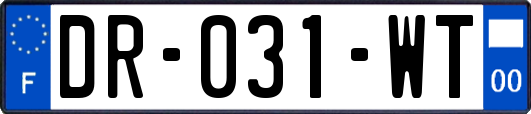 DR-031-WT