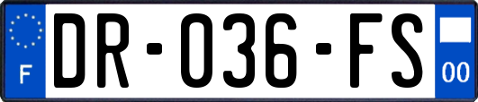 DR-036-FS