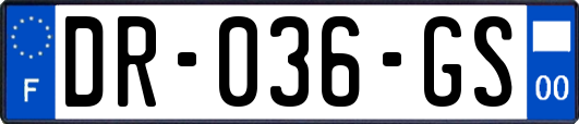DR-036-GS