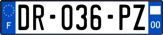 DR-036-PZ