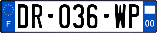 DR-036-WP