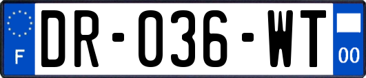 DR-036-WT