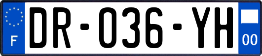DR-036-YH