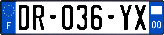 DR-036-YX