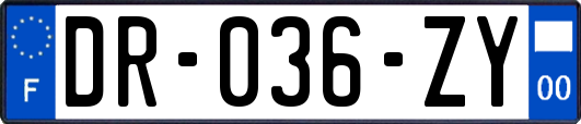 DR-036-ZY