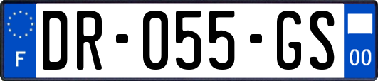 DR-055-GS