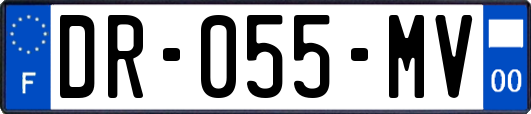 DR-055-MV