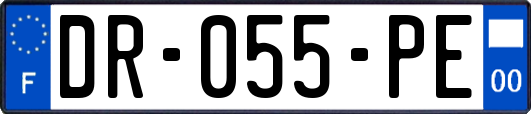 DR-055-PE