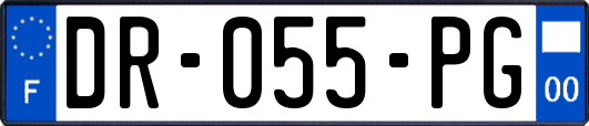 DR-055-PG