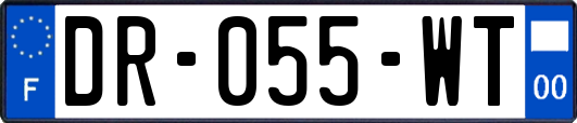 DR-055-WT