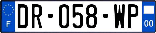 DR-058-WP