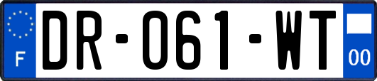 DR-061-WT