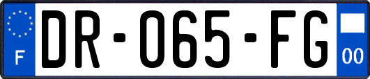 DR-065-FG