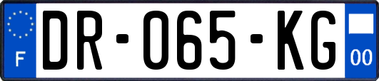 DR-065-KG