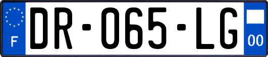 DR-065-LG
